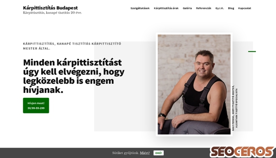 karpittisztitas-budapest.hu desktop prikaz slike