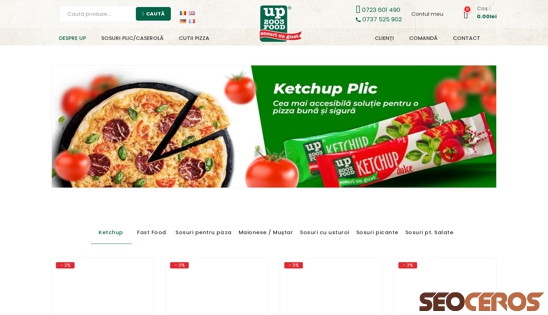 ketchup-plic.ro desktop previzualizare