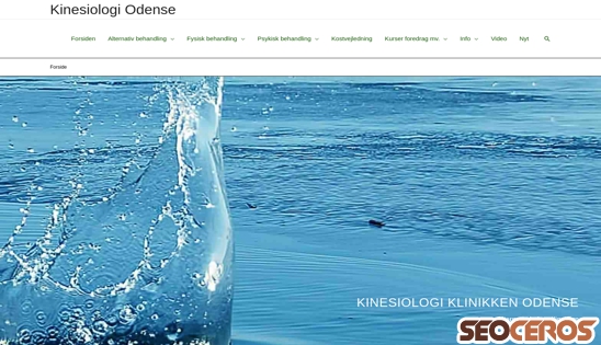 kinesiologiodense.dk desktop preview