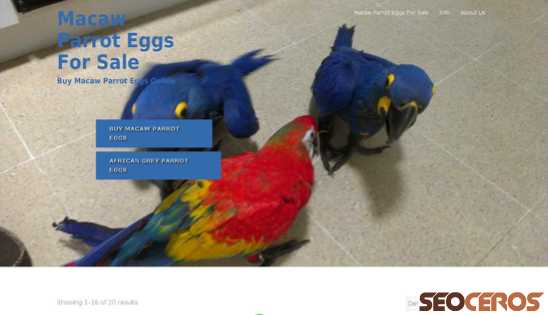macawparroteggsforsale.org desktop náhled obrázku