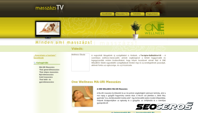 masszazstv.hu desktop Vista previa