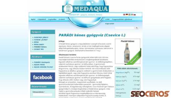 paradiviz.hu desktop preview