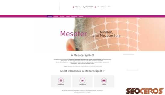 mesoter.hu desktop vista previa