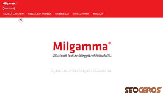 milgamma.hu desktop preview