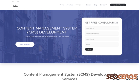 msn-global.com/content-management-system desktop előnézeti kép