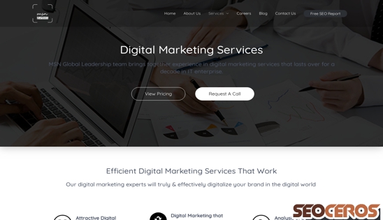 msn-global.com/digital-marketing-services desktop 미리보기