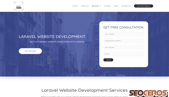 msn-global.com/laravel-website-development desktop 미리보기