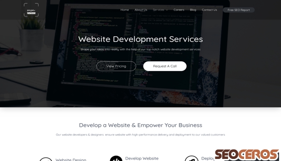 msn-global.com/website-development-services desktop förhandsvisning