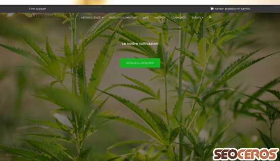 narniacannabiscrew.com desktop previzualizare