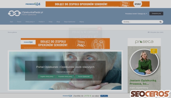 opiekunkaradzi.pl desktop prikaz slike