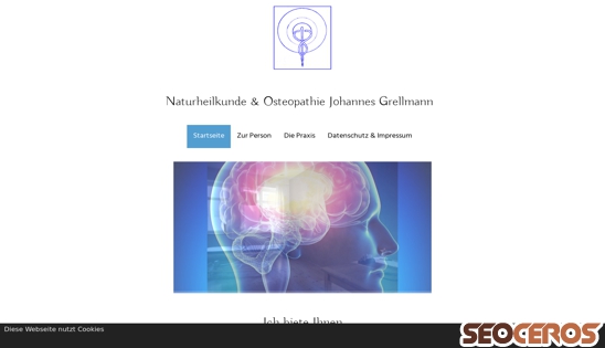 osteopathie-johannes-grellmann.com desktop náhľad obrázku