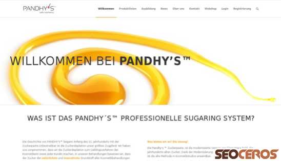 pandhys.de desktop preview