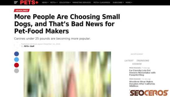 petsplusmag.com/more-people-are-choosing-small-dogs-and-thats-bad-news-for-pet-food-mak desktop preview