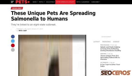 petsplusmag.com/these-unique-pet-are-spreading-salmonella-to-humans {typen} forhåndsvisning