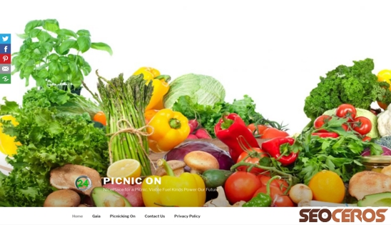 picnicon.com desktop anteprima