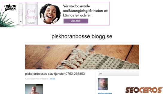piskhoranbosse.blogg.se desktop förhandsvisning