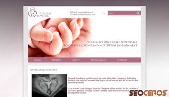 prenatal-bonding.com desktop previzualizare