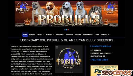 probulls.sheilacook.info desktop Vista previa