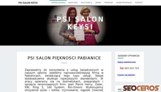 psisalonkeysi.pl desktop náhľad obrázku