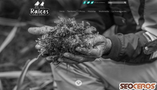 raices.patrimoniomedellin.gov.co desktop náhľad obrázku