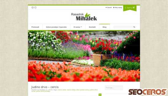 rasadnikmihalek.com/judino-drvo-cercis desktop náhled obrázku