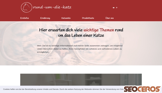 rund-um-die-katz.de desktop előnézeti kép