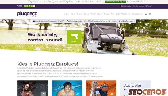 shop.pluggerz.com desktop preview