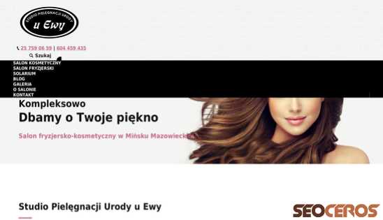 studiouewy.pl desktop előnézeti kép