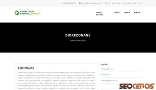 terapeutabowena.pl/uslugi/biorezonans desktop preview
