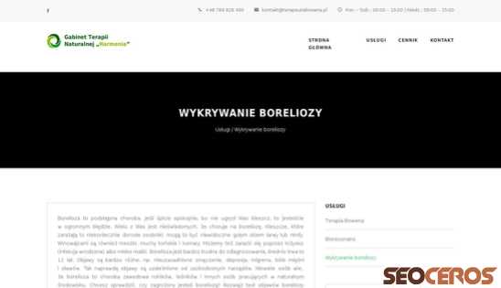 terapeutabowena.pl/uslugi/wykrywanie-boreliozy desktop náhled obrázku