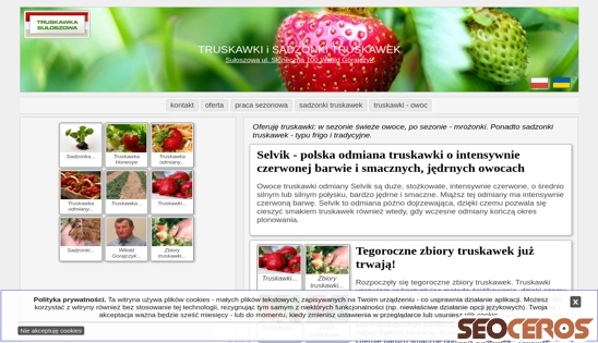 truskawka-suloszowa.pl desktop vista previa