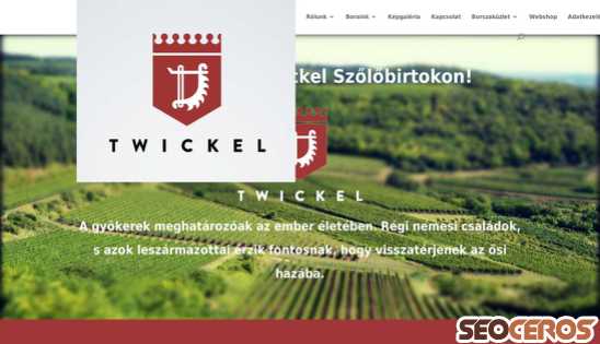 twickel.hu desktop előnézeti kép