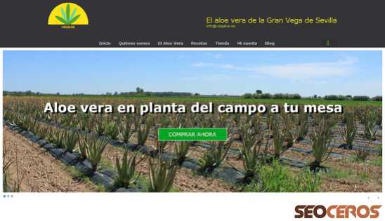 vegaloe.es desktop náhled obrázku