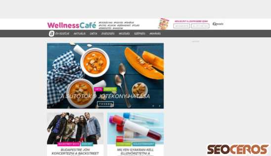 wellnesscafe.hu desktop förhandsvisning