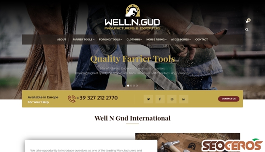 wellngud.com desktop előnézeti kép