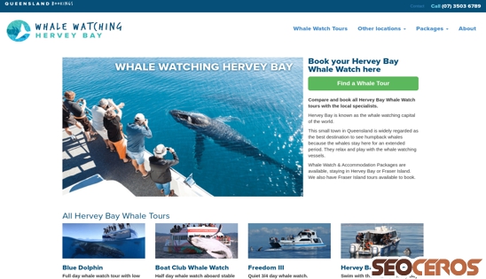whalewatchingherveybay.com.au desktop náhled obrázku