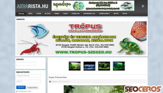 akvarista.hu desktop Vista previa