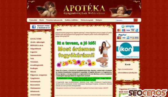 apoteka.hu desktop előnézeti kép