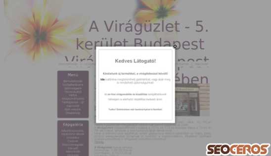 aviraguzlet.hu desktop előnézeti kép
