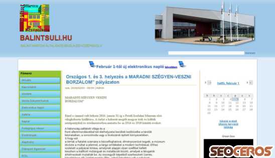 balintsuli.hu desktop előnézeti kép