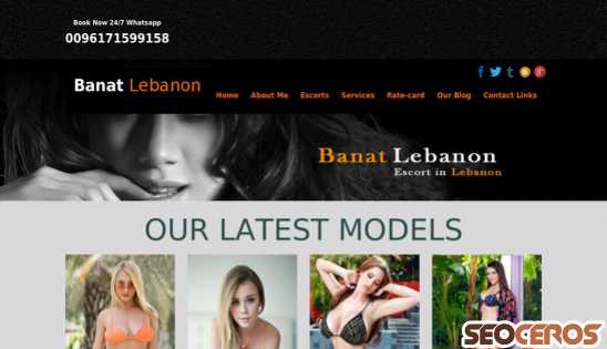 banatlebanon.com desktop előnézeti kép