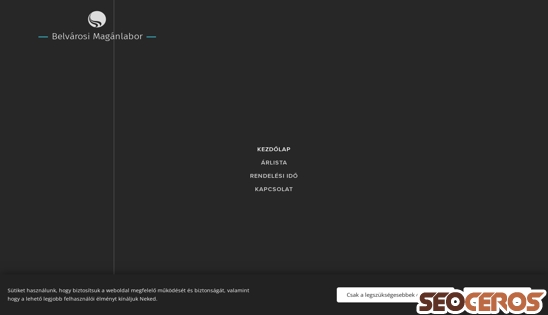 belvarosi-maganlabor.hu desktop obraz podglądowy