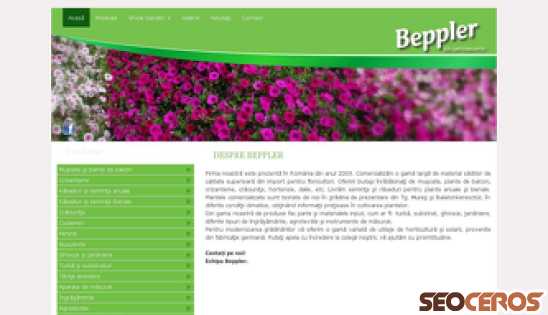 beppler.ro desktop előnézeti kép