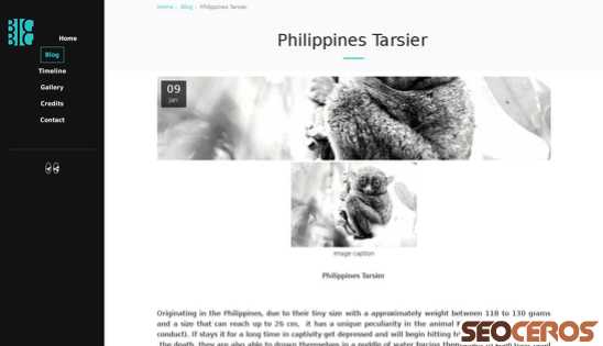 big-honcho.com/blog/philippines-tarsier desktop náhled obrázku