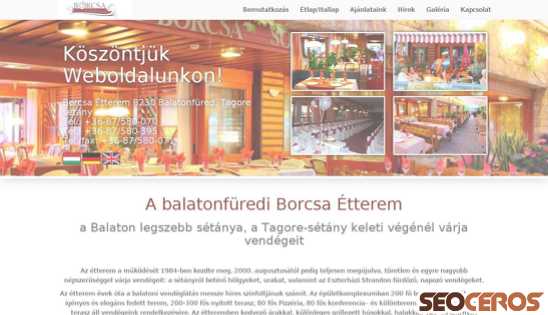 borcsaetterem.hu desktop előnézeti kép