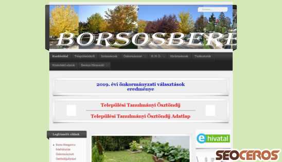 borsosbereny.hu desktop előnézeti kép