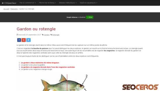 chtipecheur.com/post/Gardon-ou-rotengle-1265 desktop förhandsvisning