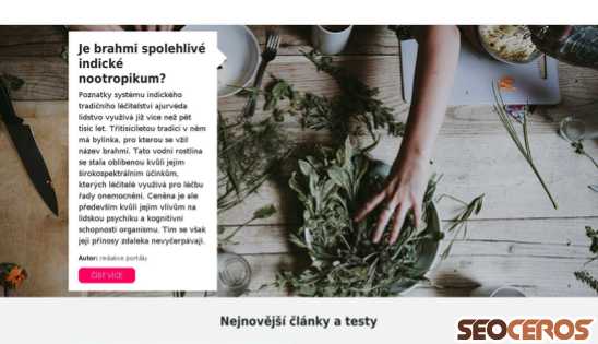 ds-test.cz desktop előnézeti kép