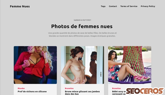 femme-nues.com desktop náhled obrázku