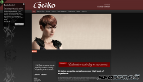 geiko.co.uk desktop preview